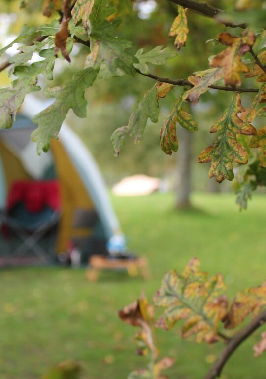Campingplads Midtjylland giver børnefamilier uforglemmelige oplevelser