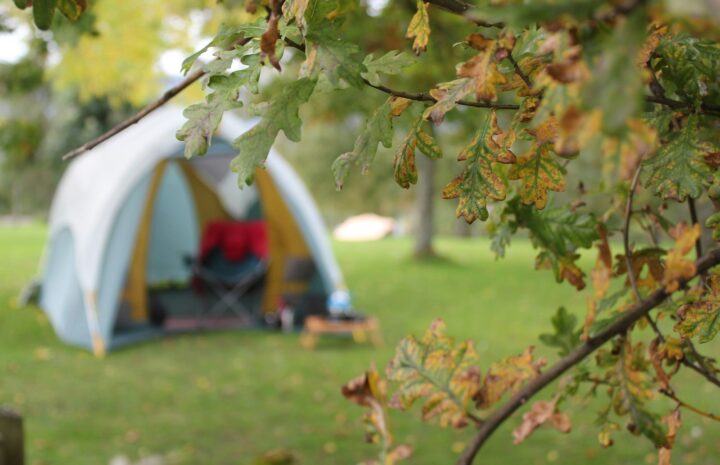 open dome tent at the park